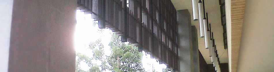 foto8